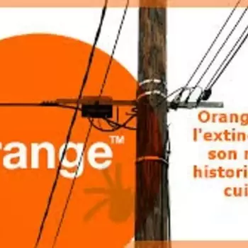 Réseau cuivre orange